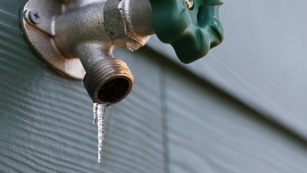 Best Local Plumber Services  in Bon Aqua Junction, TN